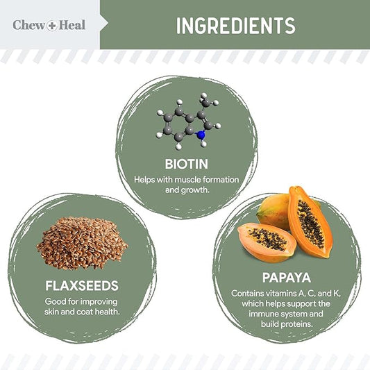 Chew + Heal All in 1 Dog Vitamin - 120 Soft Chew Treats - Chewable Multivitamin with Probiotics, Digestive Enzymes, for Skin and Coat, Hip and Joint Support - with Omega, Calcium - Made in The USA ChewHeal