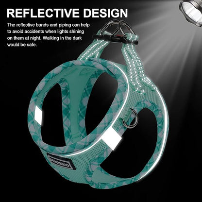 Mercano Soft Mesh Dog Harness and Leash Set, No-Chock Step-in Reflective Breathable Lightweight Easy Walk Escape Proof Vest Harnesses with Safety Buckle for Small Medium Dogs, Cats (Light Green, S) PAWPICO