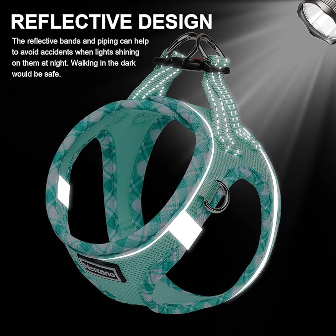 Mercano Soft Mesh Dog Harness and Leash Set, No-Chock Step-in Reflective Breathable Lightweight Easy Walk Escape Proof Vest Harnesses with Safety Buckle for Small Medium Dogs, Cats (Light Green, L) PAWPICO