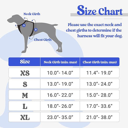 rabbitgoo Dog Harness No Pull with 2 Leash Clips, Adjustable Soft Padded, Reflective Oxford No Choke Pet Vest with Easy Control Handle for Puppy, Dazzling Blue,XS rabbitgoo