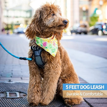 BAAPET 2/4/5/6 FT Dog Leash with Comfortable Padded Handle and Highly Reflective Threads for Small Medium and Large Dogs (5FT-1/2'', Blue) BAAPET