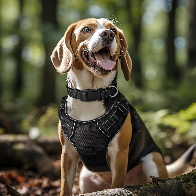 Joytale Reflective Dog Collar,Soft Neoprene Padded Breathable Nylon Pet Collar Adjustable for Large Dogs,Black,L - PAWPICO
