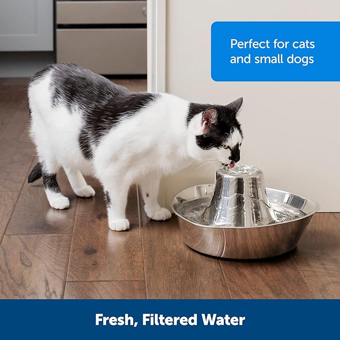 PetSafe Seaside Pet Water Fountain (60 oz/1.8L Water Capacity) Stainless Steel Cat Water Fountain, Helps Prevent Pet Acne, Scratch and Rust-Resistant Material - PAWPICO
