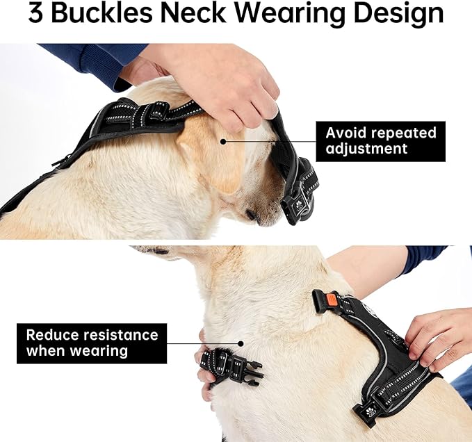 IVY&LANE No Pull Dog Harness for Small Dogs, Dog Vest Harness with Leash, Safety Belt and Storage Strap, Fully Adjustable Harness, 360° Reflective Strip, Soft Handle (Black, S) IVYLANE