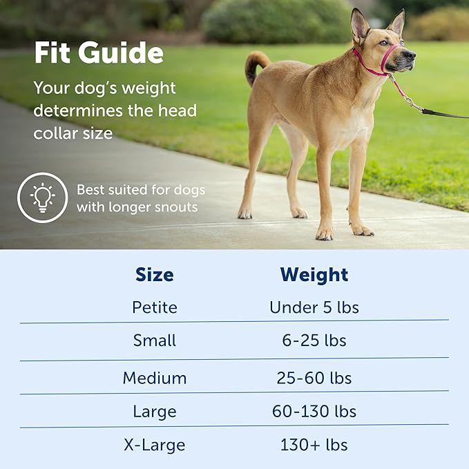 PetSafe Gentle Leader No-Pull Dog Headcollar - The Ultimate Solution to Pulling - Redirects Your Dog's Pulling for Easier Walks - Helps You Regain Control - Medium, Charcoal PetSafe