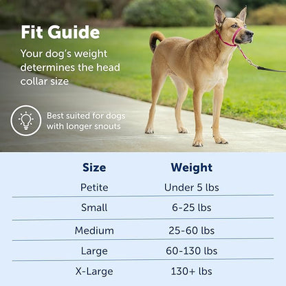 PetSafe Gentle Leader No-Pull Head Collar for Dogs, Dog Head Collar - The Ultimate Solution to Pulling, Padded Nose Loop, Quick-Snap Neck Strap, Dog Halter, Medium - Raspberry Pink PetSafe