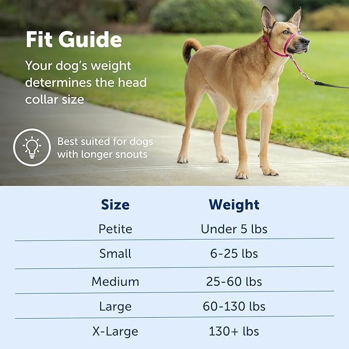PetSafe Gentle Leader No-Pull Head Collar for Dogs, Dog Head Collar - The Ultimate Solution to Pulling, Padded Nose Loop, Quick-Snap Neck Strap, Dog Halter, Medium - Black PetSafe