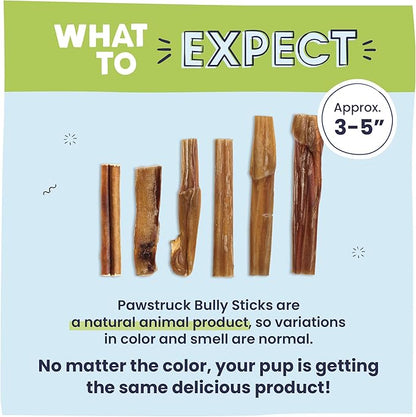 Pawstruck Natural 3-5" Bully Sticks for Small Dogs & Puppies – Single Ingredient, Low Odor & Rawhide-Free Chew Treat Bones - 100% Real Beef No Artificial Preservatives - 8 oz Bag - Packaging May Vary - PAWPICO
