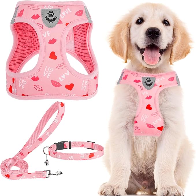 PUPTECK Adjustable Dog Harness Collar and Leash Set Step in No Pull Pet Harness for Small Medium Dogs Puppy and Cats Outdoor Walking Running, Soft Mesh Padded Reflective Vest Valentine Harnesses PUPTECK