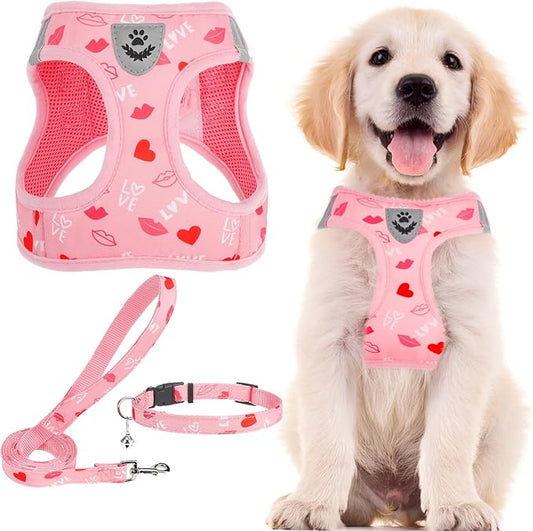 PUPTECK Adjustable Dog Harness Collar and Leash Set Step in No Pull Pet Harness for Small Medium Dogs Puppy and Cats Outdoor Walking Running, Soft Mesh Padded Reflective Vest Valentine Harnesses PUPTECK