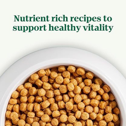 Nutro Natural Choice Small Bites Adult Dry Dog Food, Chicken and Brown Rice Recipe, 30 lbs. - PAWPICO