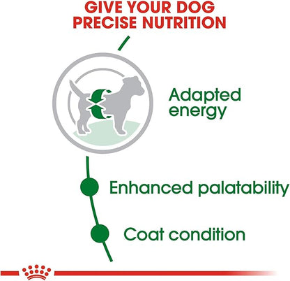 Royal Canin Small Breed Adult Dry Dog Food, 14 lb bag - PAWPICO