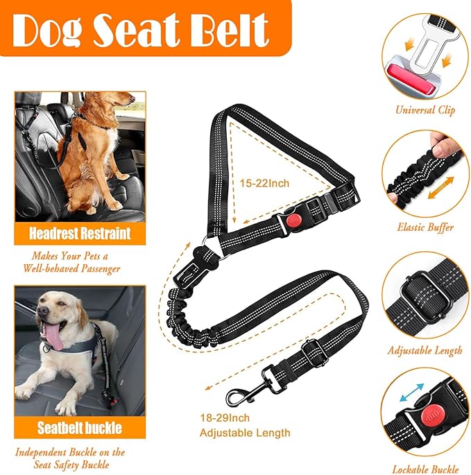 No Pull Dog Harness, Collar & Leash Set | Includes Dog Seat Belt, Collapsible Bowls & Poop Bag Dispenser. Ideal for Training, Walking, Hiking. Fits Small to Large Dogs(Blue-S) Lovebegetslove