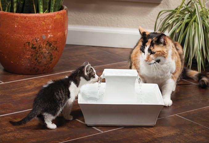 PetSafe Drinkwell Pagoda Pet Water Fountain (70 oz/2.1 L) Ceramic Cat Water Fountain, Dog Water Fountain Made of Premium, Scratch-Resistant Material, Automatic Indoor Fountain, White - PAWPICO