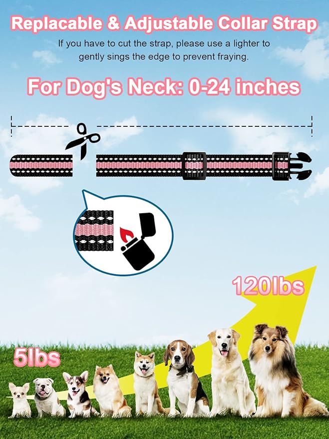 BOUSNIC Dog Shock Collar 2 Dogs (5-120Lbs) - 3300 ft Waterproof Training Collar for Dogs Large Medium Small with Rechargeable Remote, Beep (1-8) Vibration (1-16) and Humane Shock (1-99) Modes - PAWPICO