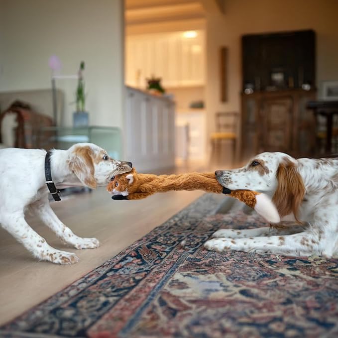 SHARLOVY Dog Squeaky Toys No Stuffing 3 Pack Dog Toys for Small Dog Toys Crinkle Dog Toys Durable Dog Chew Toys Plush Cute Animals Puppy Toys for Teething Pet Toys - PAWPICO