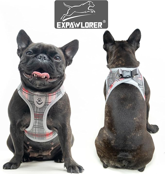 EXPAWLORER Classic Plaid Puppy Harness - Small Dog Harness and Leash Set - Dog Collar and Leash Set with AirTag Holder, Soft Padded Step in Dog Vest Harness No Pull Reflective for Outdoor, Grey XS EXPAWLORER