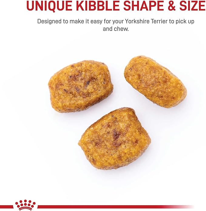 Royal Canin Yorkshire Terrier Adult Dry Dog Food, 2.5 lb bag - PAWPICO