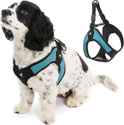 Gooby Escape Free Easy Fit Harness - Turquoise, Large - No Pull Step-in Patented Small Dog Harness with Quick Release Buckle - Perfect On The Go No Pull Harness for Small Dogs or Medium Dog Harness Gooby