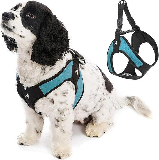 Gooby Escape Free Easy Fit Harness - Turquoise, Large - No Pull Step-in Patented Small Dog Harness with Quick Release Buckle - Perfect On The Go No Pull Harness for Small Dogs or Medium Dog Harness Gooby