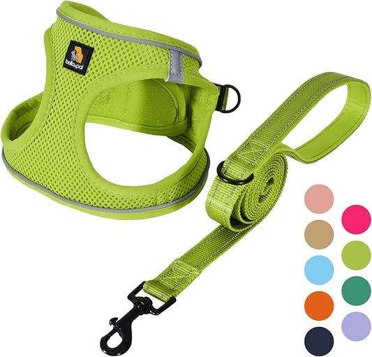 BELLA & PAL Puppy Harness with Leash Set, Dog Harness for Small Dogs No Pull, Dog Leash for Small Dogs, Step in Harness for Extra Small Dogs, Avocado Green Harness, XXS BELLAPAL