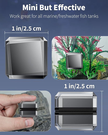 Pawfly Magnetic Aquarium Glass Cleaner 1 Inch Mini Aquarium Magnetic Brush Fish Tank Magnetic Glass Cleaner Small Stain Scrubber Brush Aquarium Cleaning Tool for 1/5 Inch Thick Glass (Non-Floatable) Pawfly