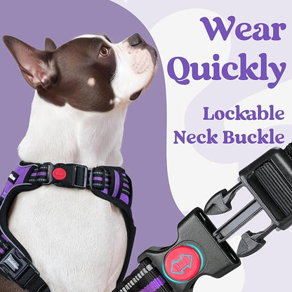 rabbitgoo Dog Harness Medium Sized, No Pull Pet Harness with 3 Buckles, Adjustable Soft Padded Pooch Vest with Instant Control Handle, Easy Walking Reflective Pet Vest for Medium Dogs, Purple, M rabbitgoo