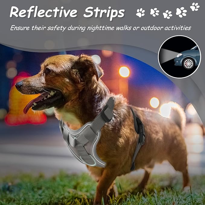 AUROTH Dog Harness Small Sized Dog, Small No Pull Dog Harness, Dog Harness for Small Dogs, Harness Small Size Dog Vest Harness with Handle, Grey S AurothPets