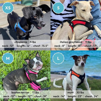 Gooby - Escape Free Easy Fit Harness, Small Dog Step-In Harness for Dogs that Like to Escape Their Harness, Turquoise, Medium Gooby