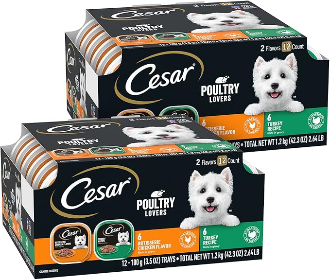 CESAR Filets in Gravy Adult Wet Dog Food, Poultry Lovers Variety Pack, 3.5 oz. Easy Peel Trays, Pack of 24 - PAWPICO