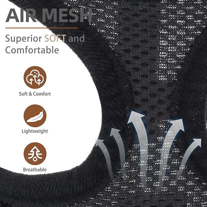 PUPTECK Soft Mesh Dog Harness and Leash Set Pet Puppy Cat Comfort Padded Vest No Pull Harnesses, Solid Black, S PUPTECK
