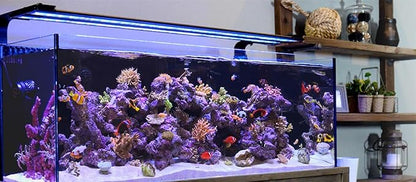CURRENT USA 72" Inch Orbit Marine IC LOOP LED Saltwater Reef Marine Aquarium Light with Bluetooth App Control | Wireless Lighting & eFlux Wave Pump Control for Fish Tank (4208) Current+USA