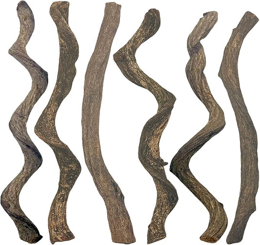 BNOSDM Reptile Forest Climbing Branch Decor Crested Gecko Climb Wood Natural Branches Tree for Snake Frog Chameleon Spider Bearded Dragon Terrarium Habitat Tank Accessories,6PCS BNOSDM