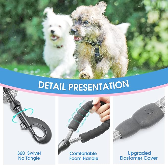 BAAPET 2/4/5/6 FT Dog Leash with Comfortable Padded Handle and Highly Reflective Threads for Small Medium and Large Dogs (5FT-1/3'', Grey) - PAWPICO