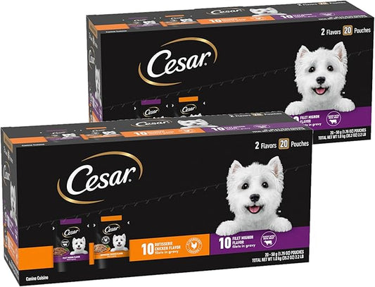 Cesar Filets in Gravy Wet Dog Food Filet Mignon Flavor and Rotisserie Chicken Flavor Variety Pack, 1.76 oz. Mini-Pouches, 20 Pack (Pack of 2) - PAWPICO