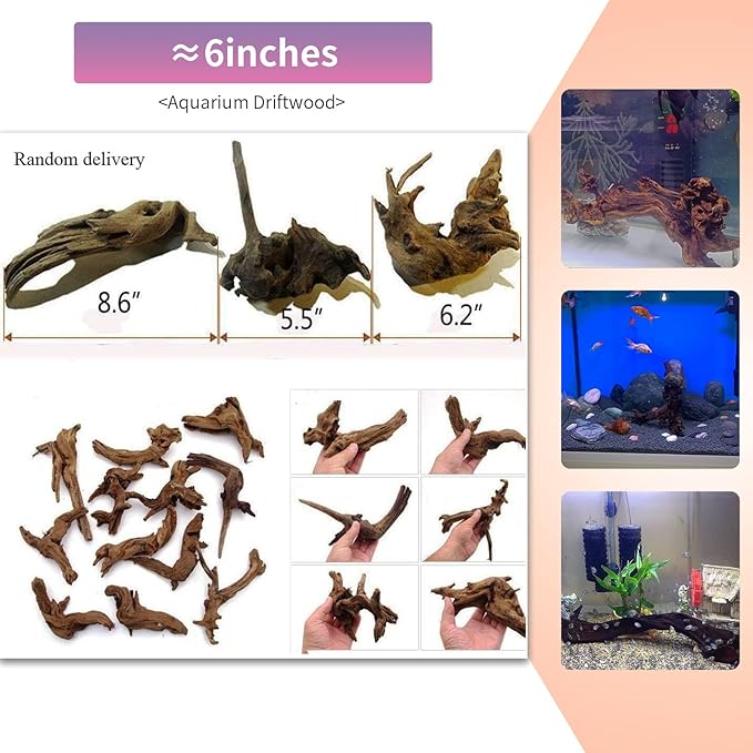 5 Pcs Driftwood Branches Aquarium Wood Decoration Natural Fish Tank Habitat Decor Wood for Lizard Assorted Size-Small Hamiledyi