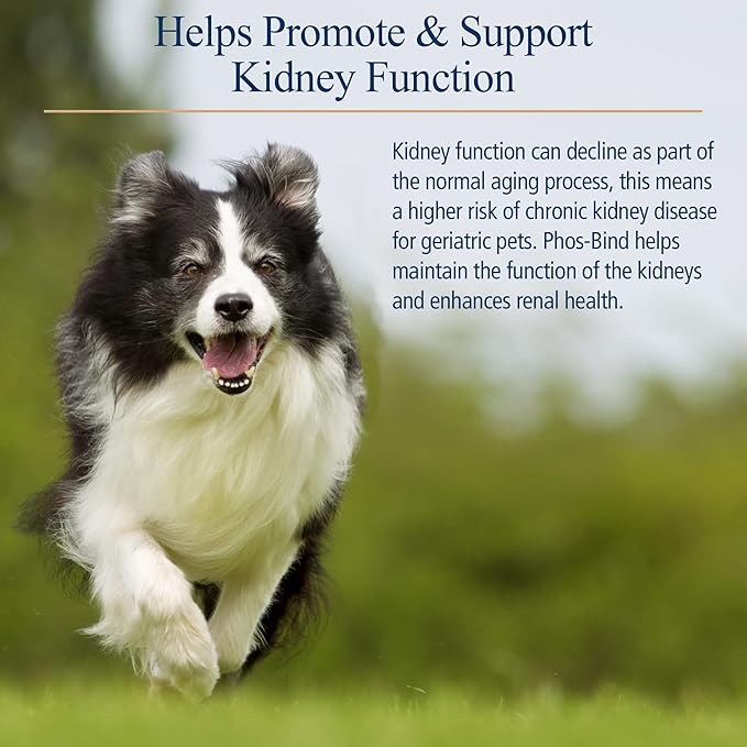 Rx Vitamins Phos-Bind - Kidney Support Supplement Powder - Phosphate Binder for Cats & Dogs for Kidney Health - Supports Normal Kidney Cleanse and Essential Kidney Care - 200g RxVitamins