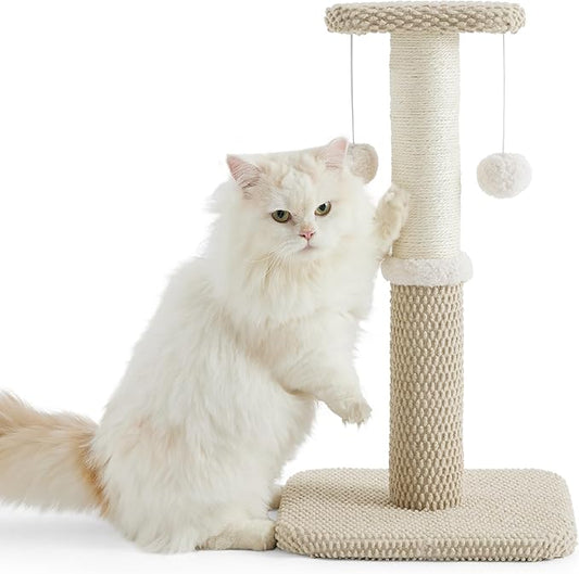 Lesure Small Cat Scratching Post - Premium Sisal Rope Highly Resistant Carpet Cute Scratching Posts for Indoor Kittens, Sturdy Small Cat Scratch Pole with Hanging Ball, Beige(22.5 inch) - PAWPICO