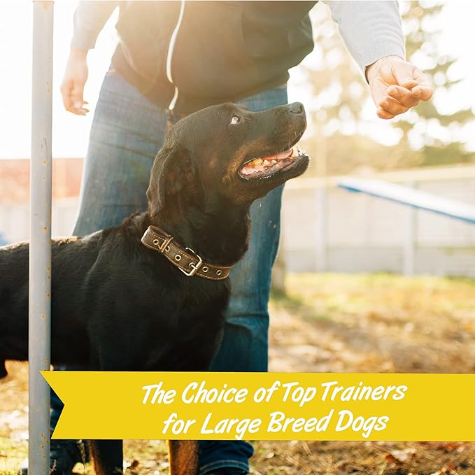 Pet Botanics 20 oz. Pouch Training Rewards Soft & Chewy Large Bites, Bacon Flavor, with 250 Treats Per Bag, The Choice of Top Trainers, for Large Breed Sizes - PAWPICO