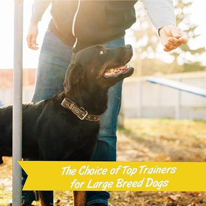 Pet Botanics 20 oz. Pouch Training Rewards Soft & Chewy Large Bites, Bacon Flavor, with 250 Treats Per Bag, The Choice of Top Trainers, for Large Breed Sizes - PAWPICO