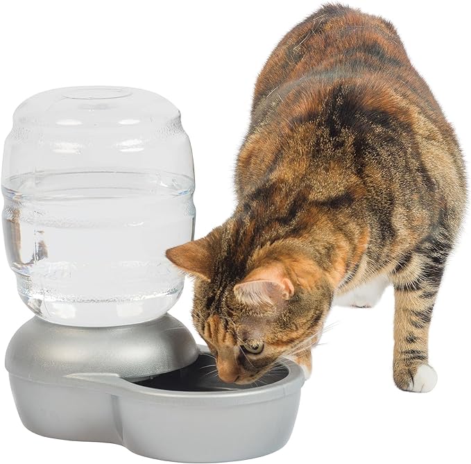 Petmate Replendish Automatic Gravity Waterer for Cats and Dogs, BPA-Free, No Batteries Required, Includes Charcoal Filter, 0.5 Gallon,Silver - PAWPICO