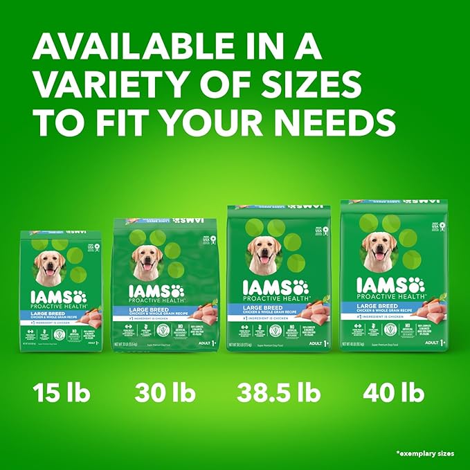 IAMS Adult High Protein Large Breed Dry Dog Food with Real Chicken, 38.5 lb. Bag - PAWPICO