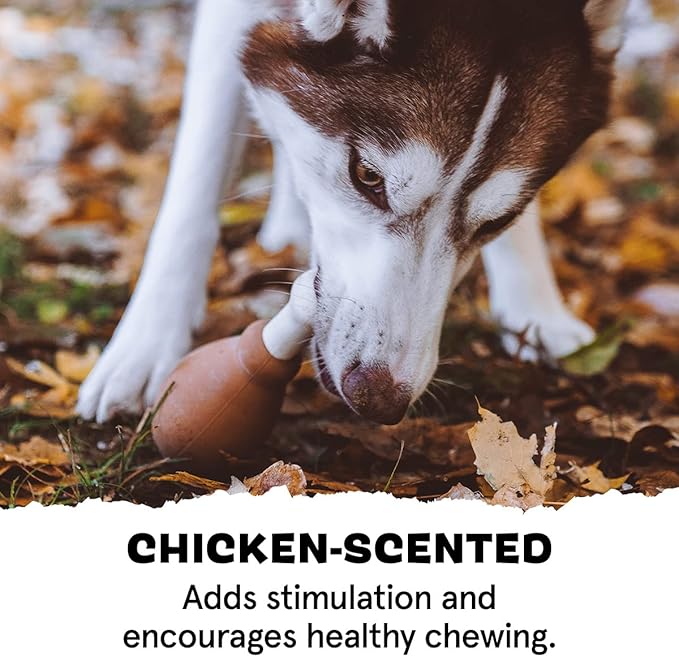 Barkbox Super Chewer Tough Dog Chew Toys for Aggressive Chewers, Dental Stimulating (Turkey - Small) - PAWPICO