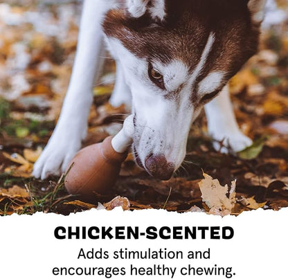 Barkbox Super Chewer Tough Dog Chew Toys for Aggressive Chewers, Dental Stimulating (Turkey - Small) - PAWPICO