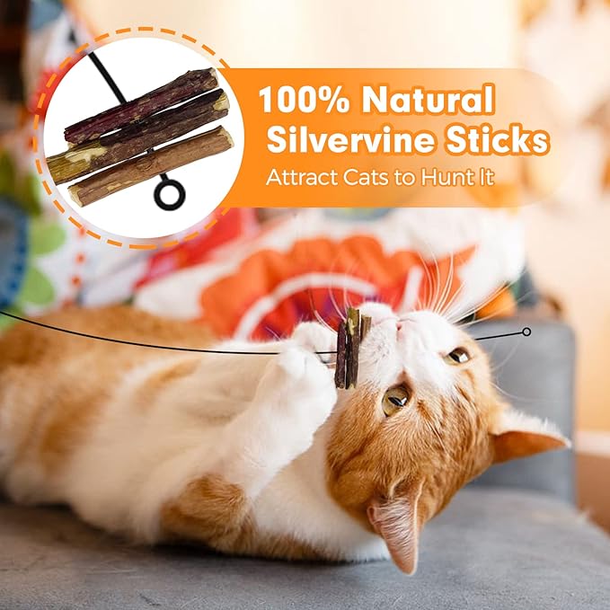 Cat Wand Toy, Cat Feather Toys with Silvervine & Bells, 2 * Cat Teaser Wand & 6 * Teaser Refills, Extra Long 38.5" Wire Cat Wand, Cat Toy for Indoor Cats & Kitten & Kitty - PAWPICO