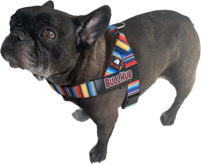 BULLHUG Harness – Made for Larger Chested Dogs Like English Bulldogs, French Bulldogs, Pugs & More. Stops Dogs from Pulling & Choking on Walks (Fiesta, Medium) BULLHUG