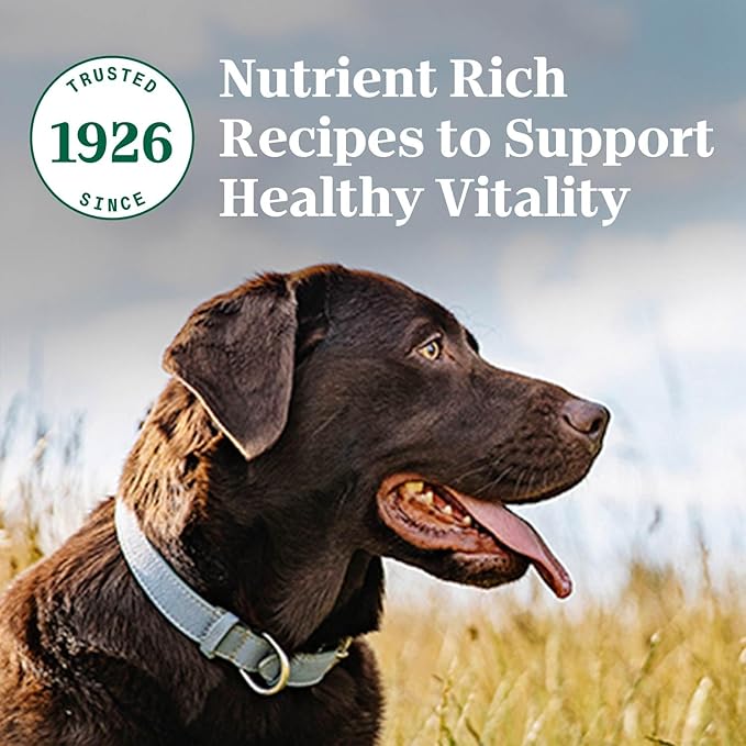 Nutro Natural Choice Adult Dry Dog Food, Salmon & Brown Rice Recipe, 28 lb. Bag - PAWPICO