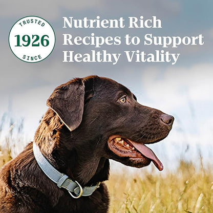 Nutro Natural Choice Adult Dry Dog Food, Salmon & Brown Rice Recipe, 28 lb. Bag - PAWPICO