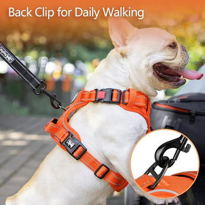 PoyPet No Pull Dog Harness, No Choke Reflective Dog Vest, Adjustable Pet Harnesses with Easy Control Padded Handle for Small Medium Large Dogs(Orange Matching Trim,M) PoyPet