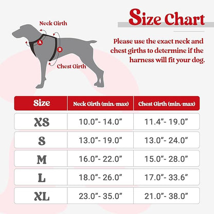 rabbitgoo Dog Harness No Pull with 2 Leash Clips, Adjustable Soft Padded, Reflective Oxford No Choke Pet Vest with Easy Control Handle for Medium Sized Dogs, Red, M rabbitgoo